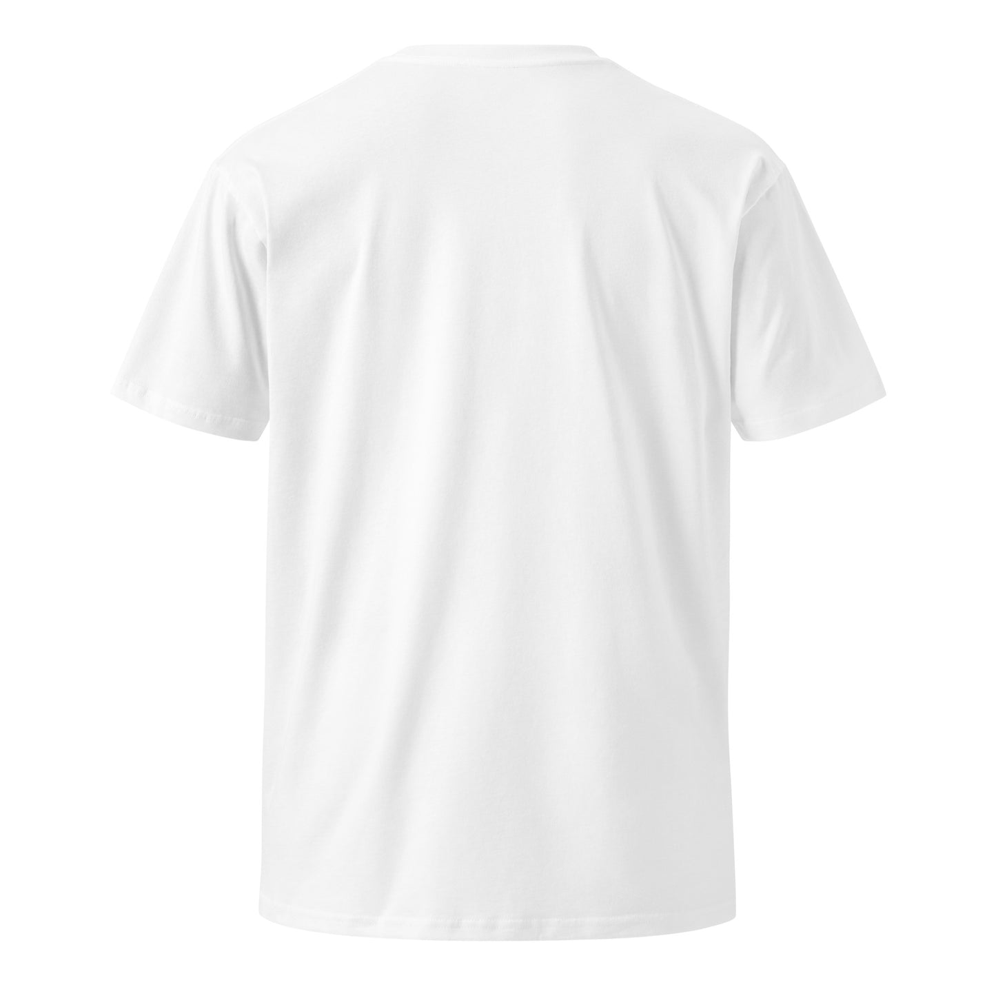 Archives of Aura Unisex premium t-shirt