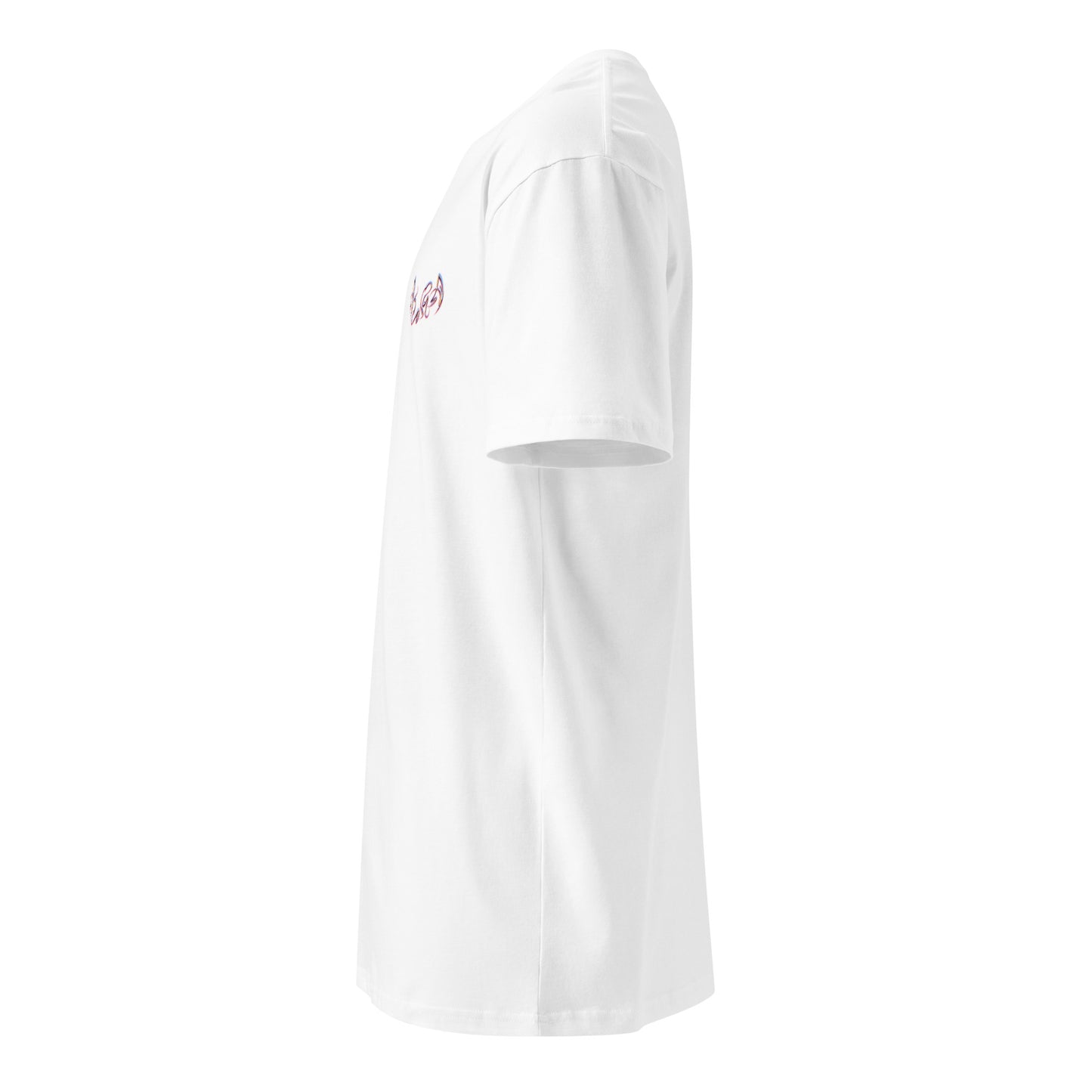 Archives of Aura Unisex premium t-shirt