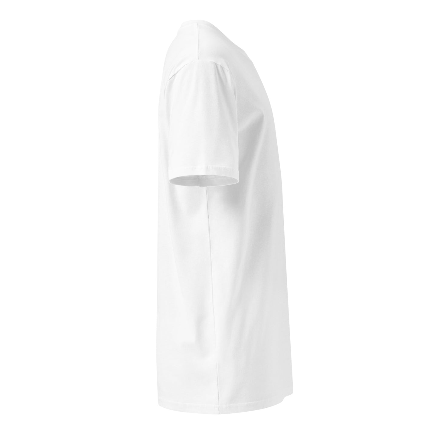 Archives of Aura Unisex premium t-shirt